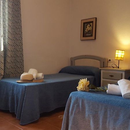 Chalet Las Adelfas Chaparrillo Кониль-де-ла-Фронтера Экстерьер фото